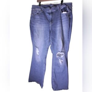 Edgely womens distressed jean size 24W regular